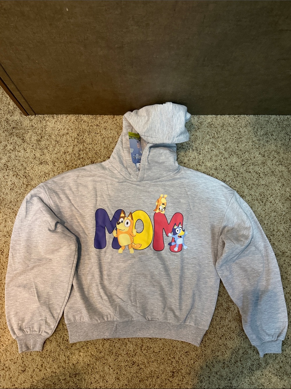NWT Bluey Mom Graphic Hoodie Light Gray Size XS Target
